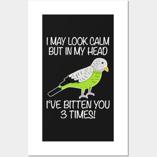 I May Look Calm Budgerigar Aviculturist Parakeet Posters and Art